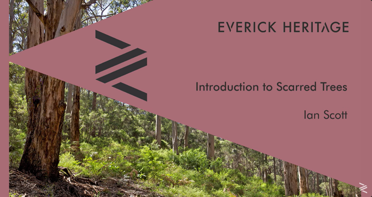 Introduction to Scarred Trees